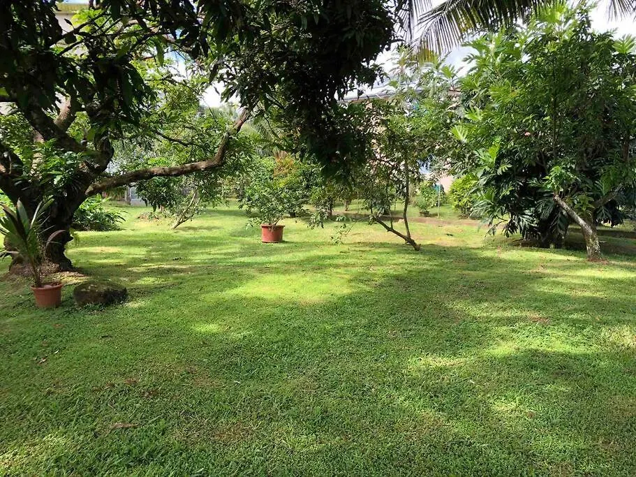 Appartement F3 Dans Maison Individuelle Avec Jardin Arbore Le Lamentin Martinique