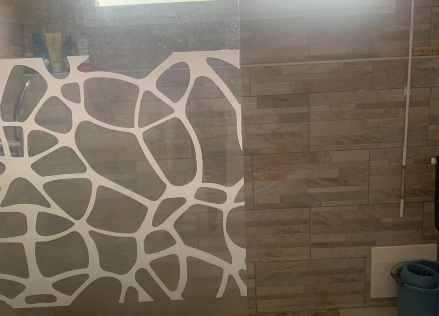 F3 Dans Maison Individuelle Avec Jardin Arbore Le Lamentin Appartement