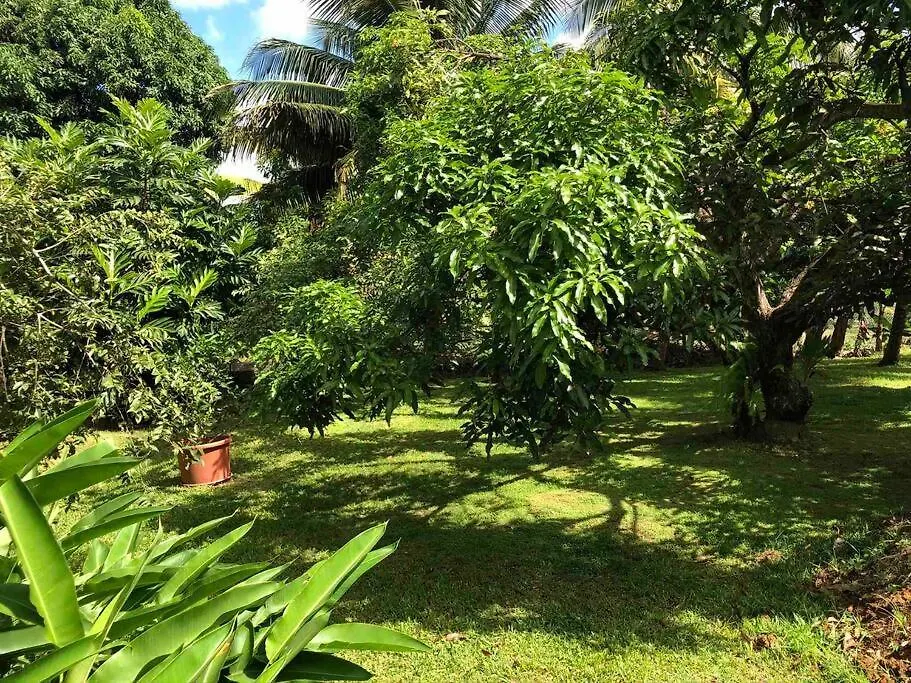 F3 Dans Maison Individuelle Avec Jardin Arbore Le Lamentin Apartment